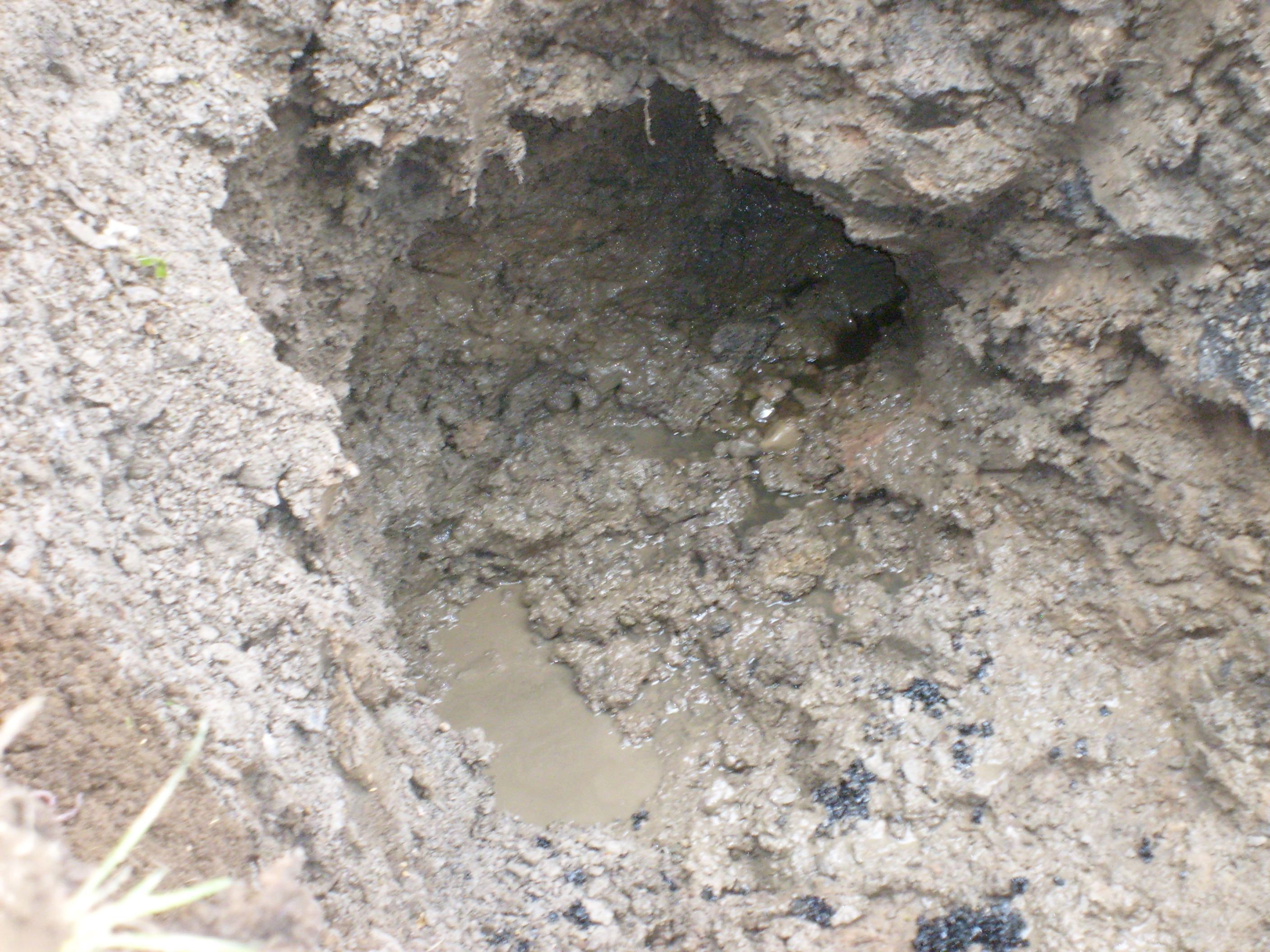 RGE Claim 150 Fernboro (2)